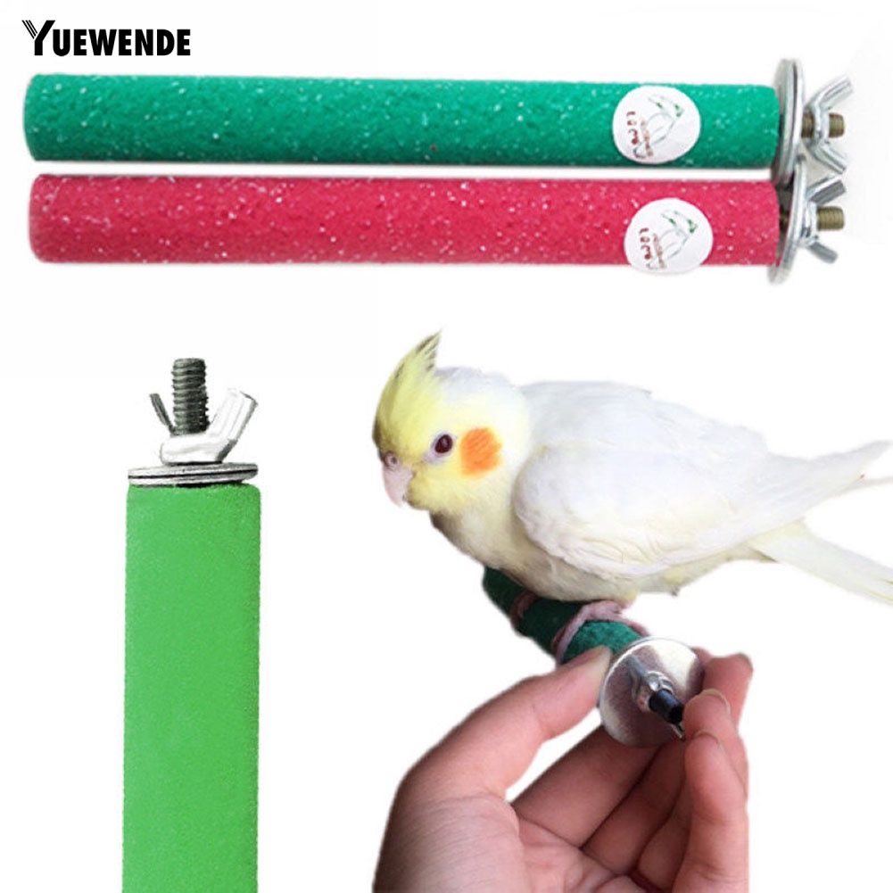 Đồ Chơi Thanh Đứng Cho Vẹt Cưng Nhai Thỏa Thích