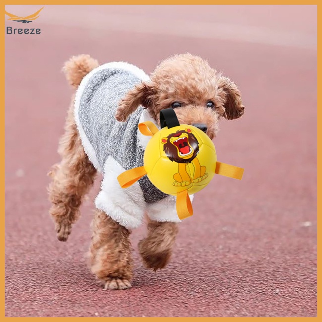 Bóng Đá Đồ Chơi Đa Năng Dành Cho Chó Cỡ Nhỏ / Vừa / Lớn