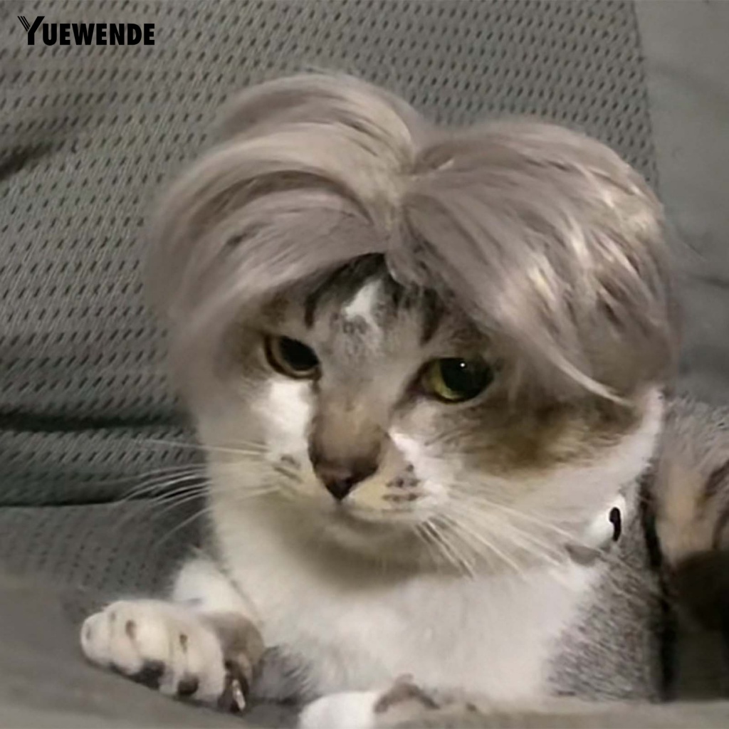 Bộ Tóc Giả Mềm Mại Dùng Chụp Ảnh Cho Thú Cưng