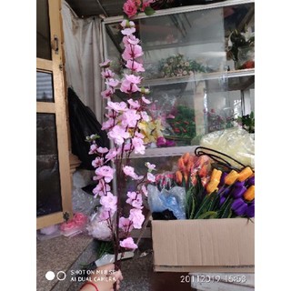 Cành đào giả làm cây