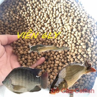 1kg thức ăn cho cá chép 7924 cám cá cargill cá chép 7924 mồi câu cá chép 7924 thức ăn cá koi thức ăn cá chép koi