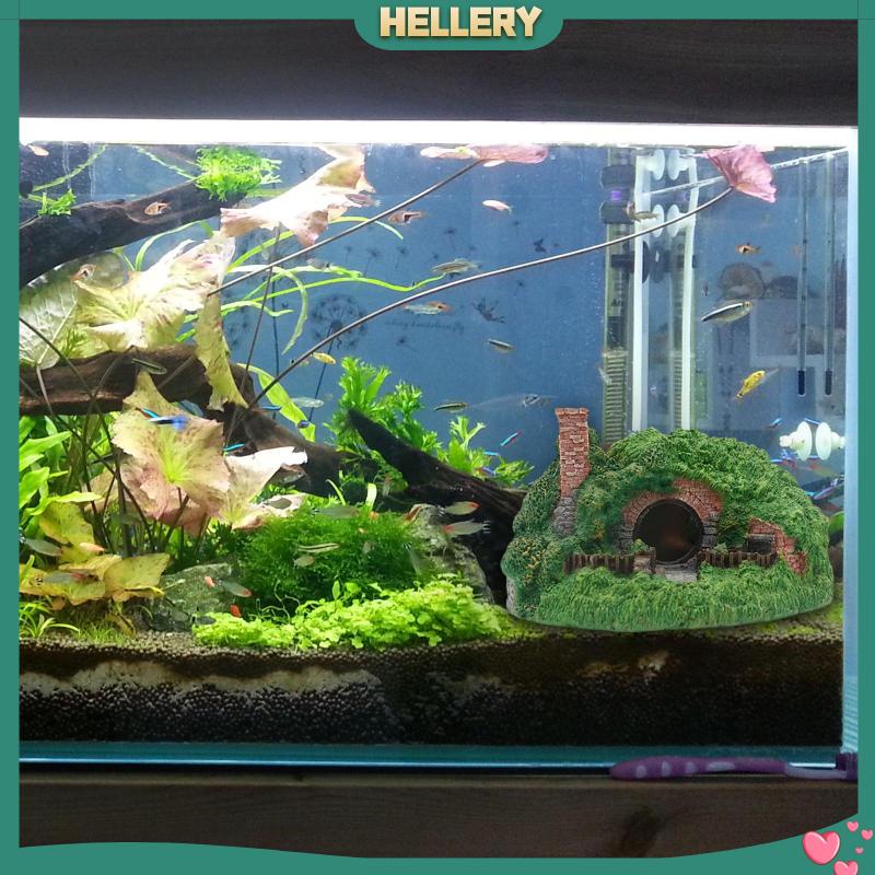 Hang Hang Hang Động Dùng Trang Trí Bể Cá