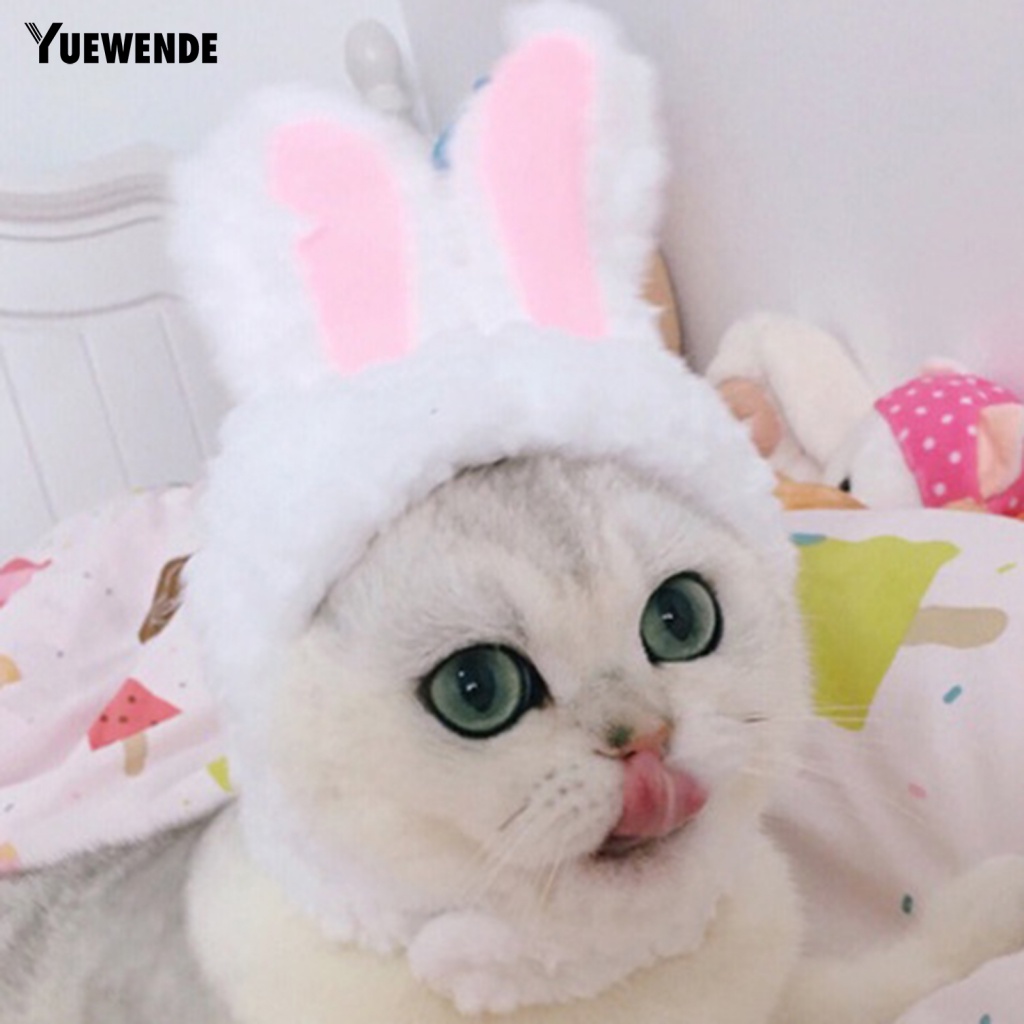 Băng Đô Đội Đầu Bằng Vải Cotton Pha Mềm Mại Ấm Áp Dành Cho Thú Cưng