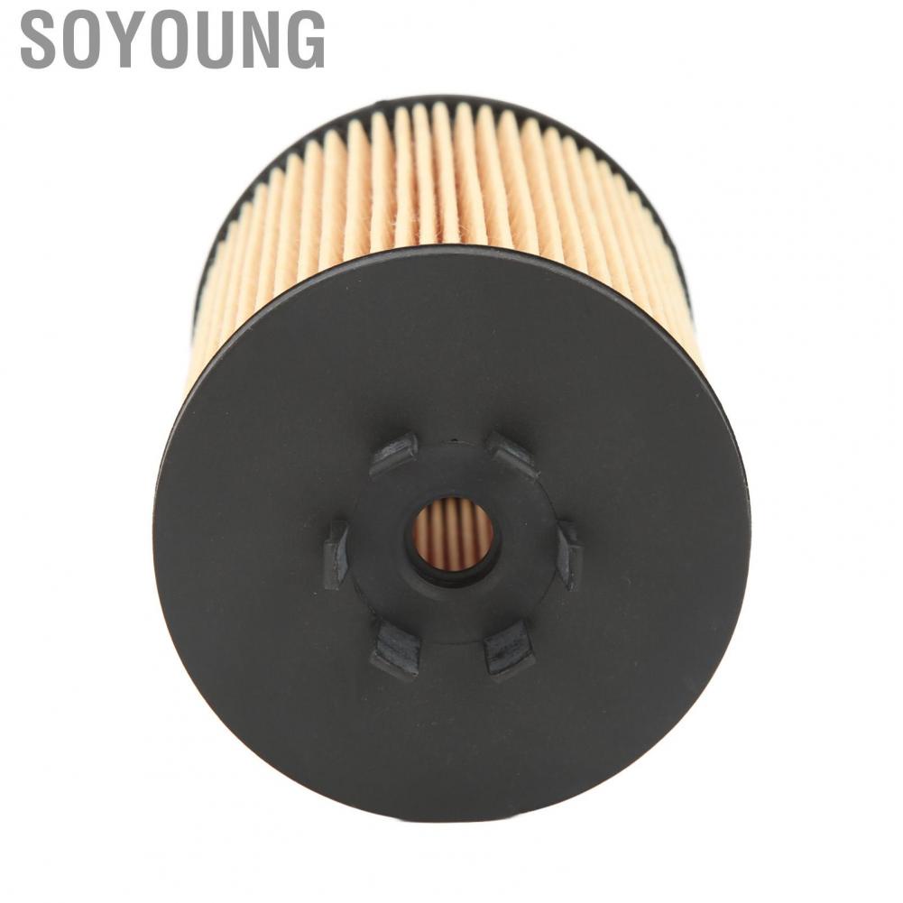 Soyoung 11427511161  Stable Performance Clean Impurities Engine Oil Filter Easy To Install for E53 E60 E63 E65 E66