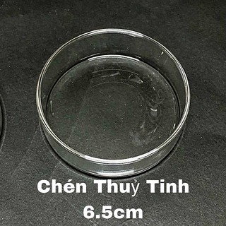 Chén thuỷ tinh đựng thức ăn cho tép - chén tép