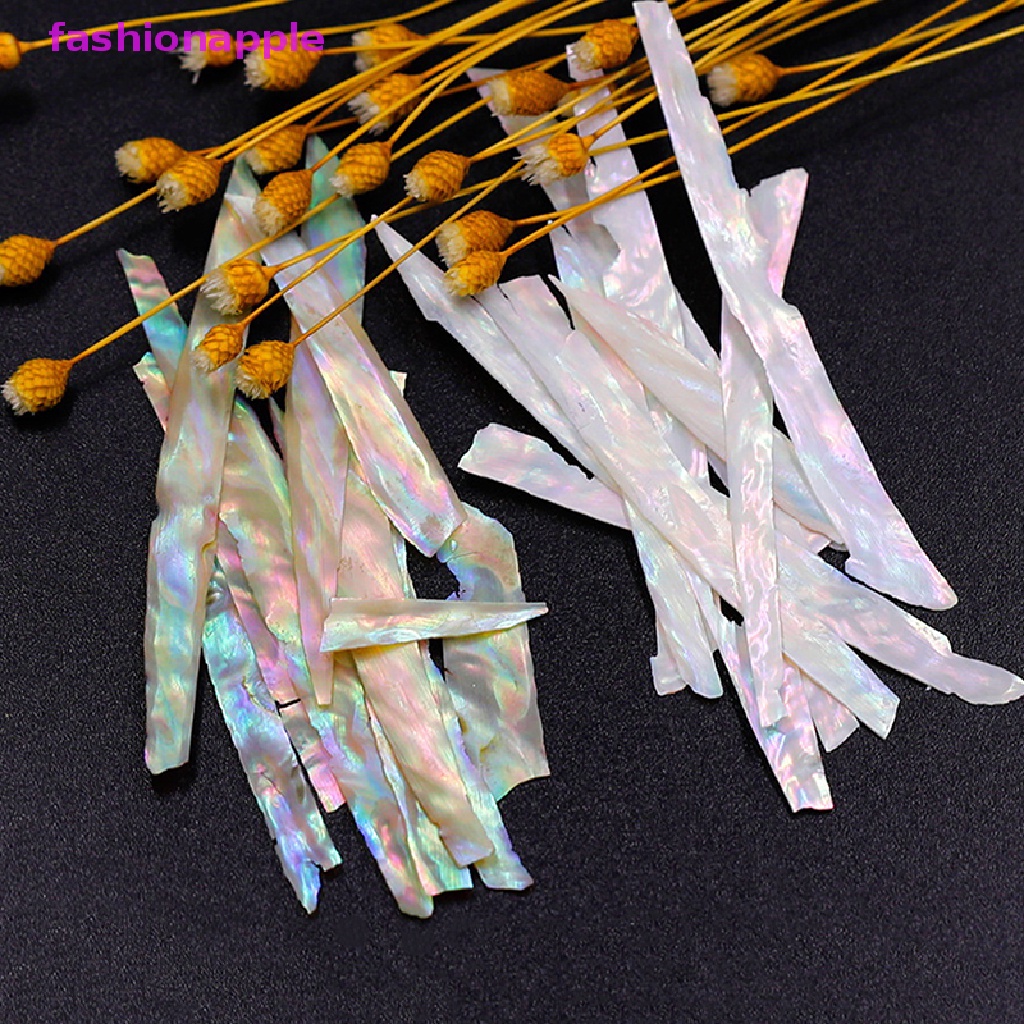 Hộp Vỏ Sò 3D Trang Trí Móng Tay Nghệ Thuật