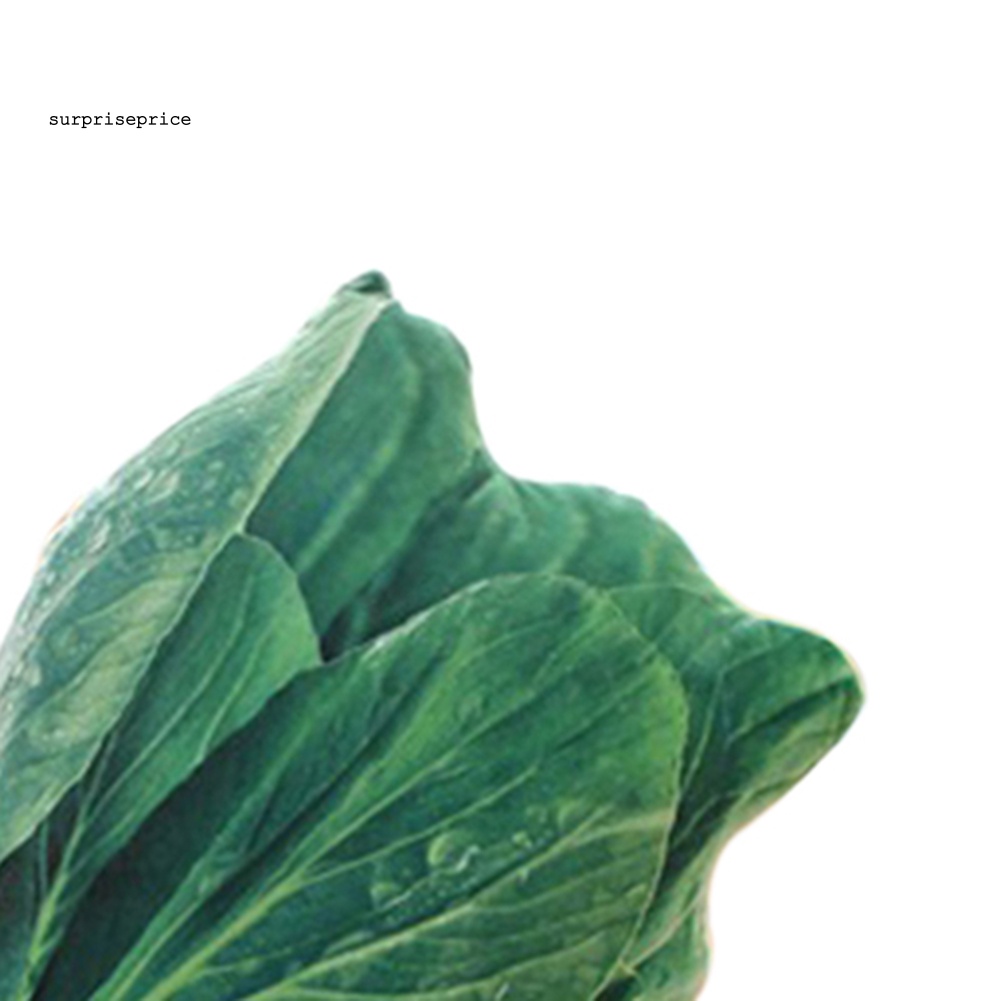 Gối Nhồi Bông Hình Rau Củ Quả Broccoli Dễ Thương