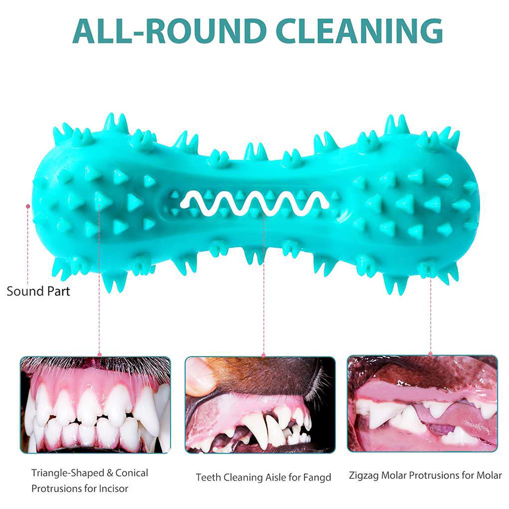 Bàn Chải Đánh Răng TPR Không Độc Hại Vệ Sinh Răng Cho Thú Cưng Cỡ Nhỏ / Vừa / Lớn