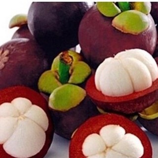 Cây măng cụt giống cây to giống tốt