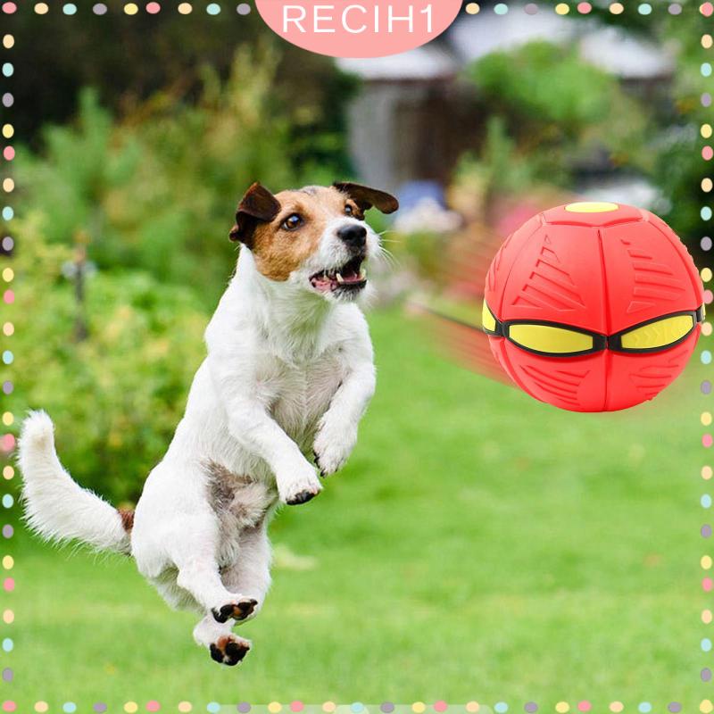 Đồ Chơi Quả Bóng Biến Hình Sáng Tạo Bền Bỉ Dành Cho Trẻ Em