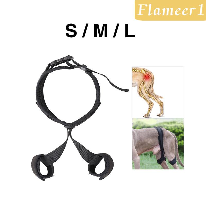 [Flameameer1] Đai Nẹp Hông Hỗ Trợ Cho Thú Cưng