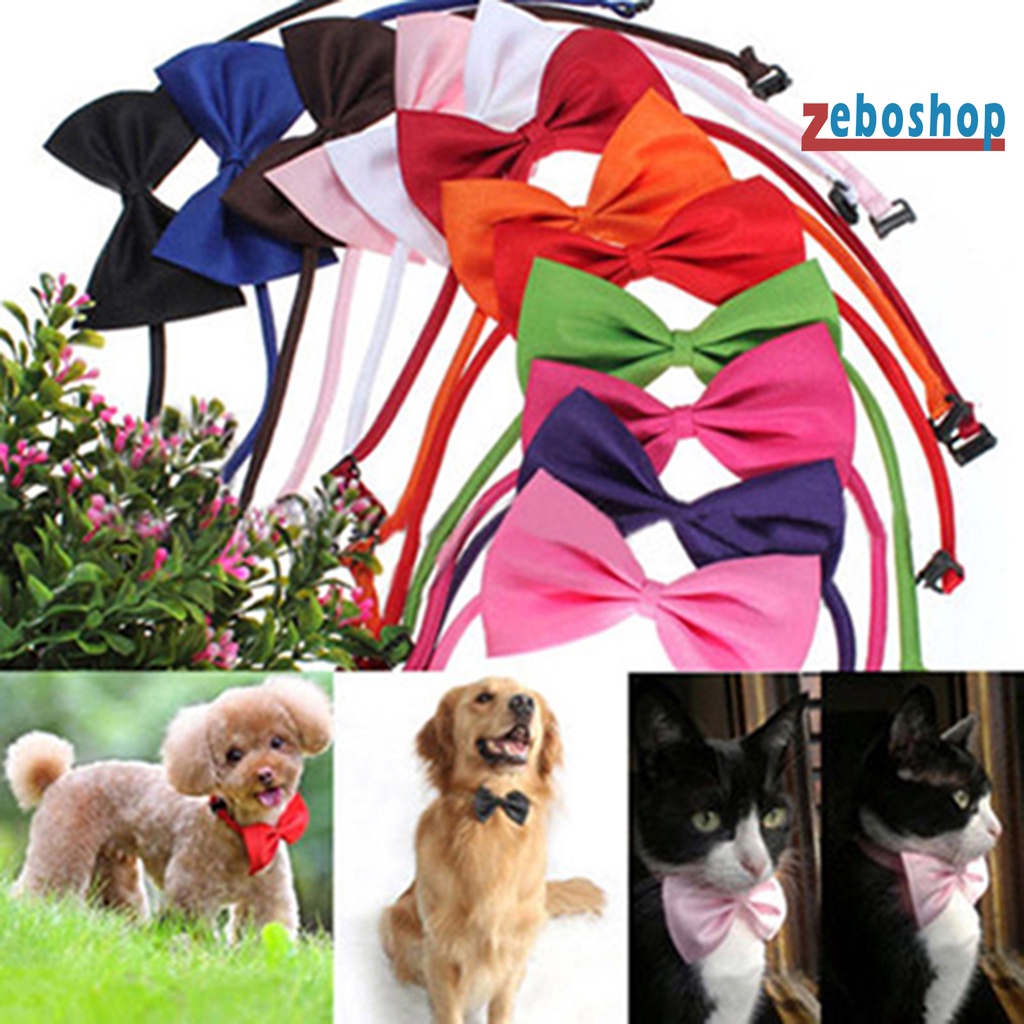 Cà Vạt Nơ Nylon Màu Trơn Dễ Thương Có Thể Điều Chỉnh Dành Cho Thú Cưng