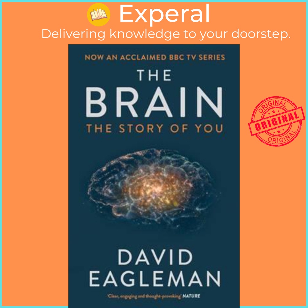 Sách - The Brain : The Story of You by David Eagleman (UK edition, paperback)