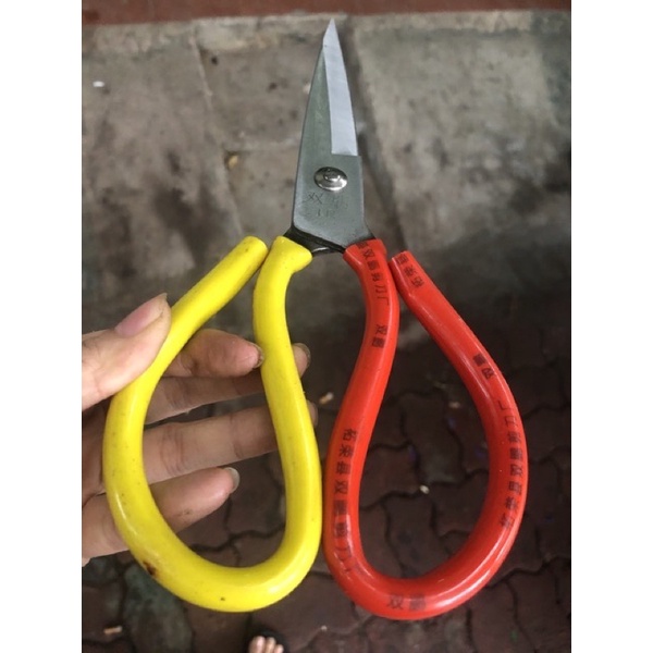 Kéo làm cá, đồ ăn thép không gỉ, size lớn kéo vàng đỏ cao cấp