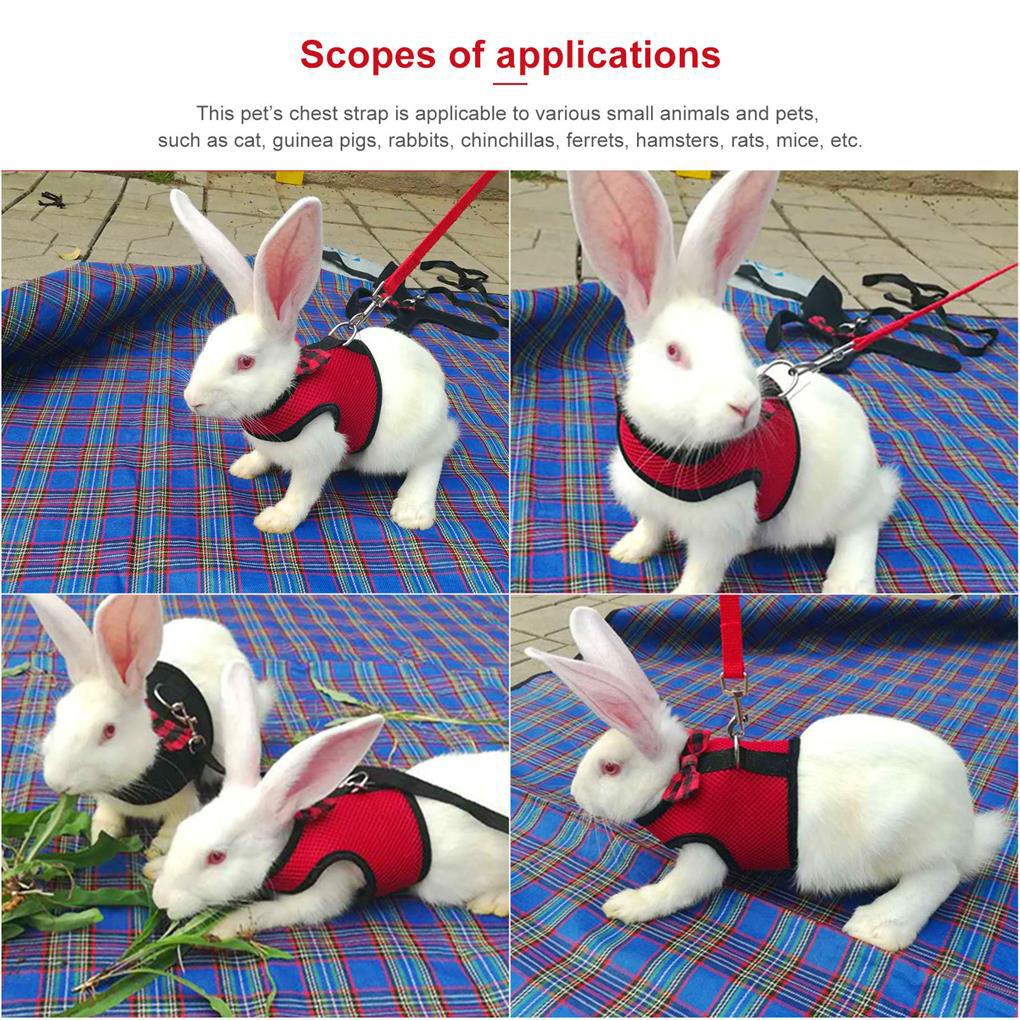 Áo Vest Kèm Dây Dắt Dắt Thú Cưng Đi Dạo Kiểu Đơn Giản Đa Năng Tiện Dụng