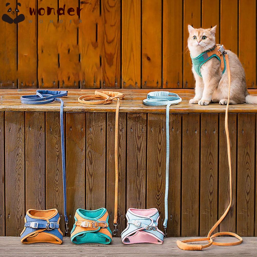 Dây Dắt Thú Cưng Đi Dạo Có Thể Điều Chỉnh Kích Thước