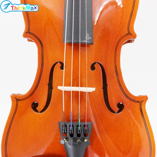 Thinkmax Đàn Violin Gỗ Bass 4 / 4 3 / 4 1 / 2 1 / 4 1 / 8 Kèm Bình Hoa Cho Người Mới Bắt Đầu