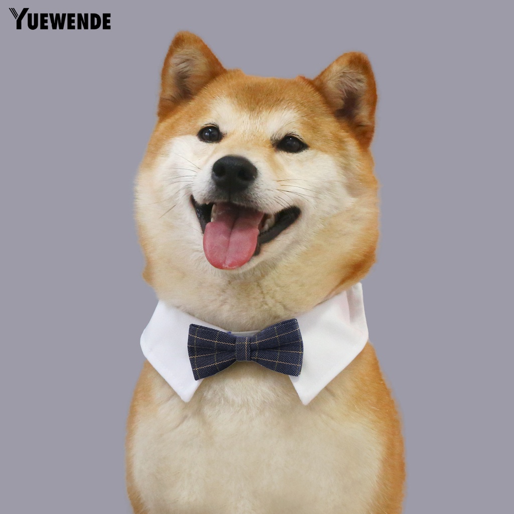 Vòng Cổ YQ.E Mềm Mại Có Thể Điều Chỉnh Dành Cho Thú Cưng