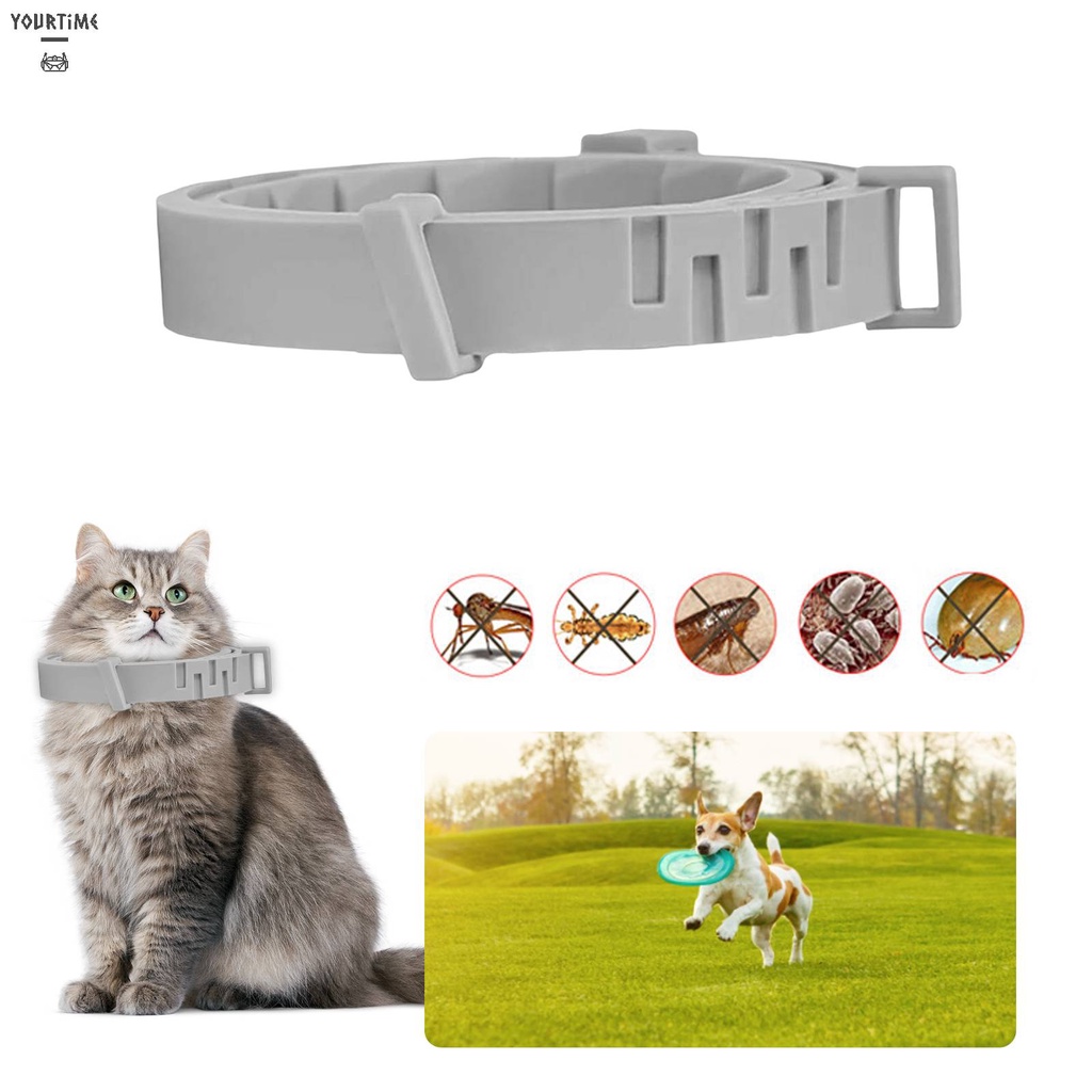 Vòng Cổ BằNg Silicone Cho Thú Cưng