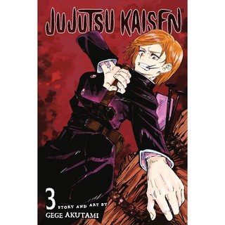 Jujutsu Kaisen 3 (English Edition)