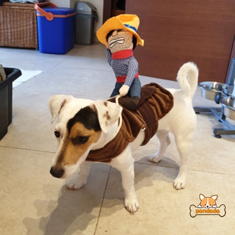 Trang PhụC GiáNg Sinh Cho Thú Cưng