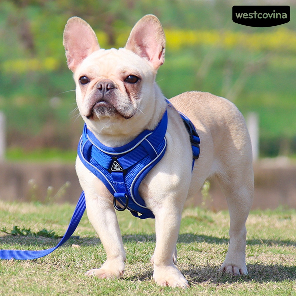 [COD]♞Dây Dắt Thú Cưng Đi Dạo Phản Quang An Toàn Tiện Dụng