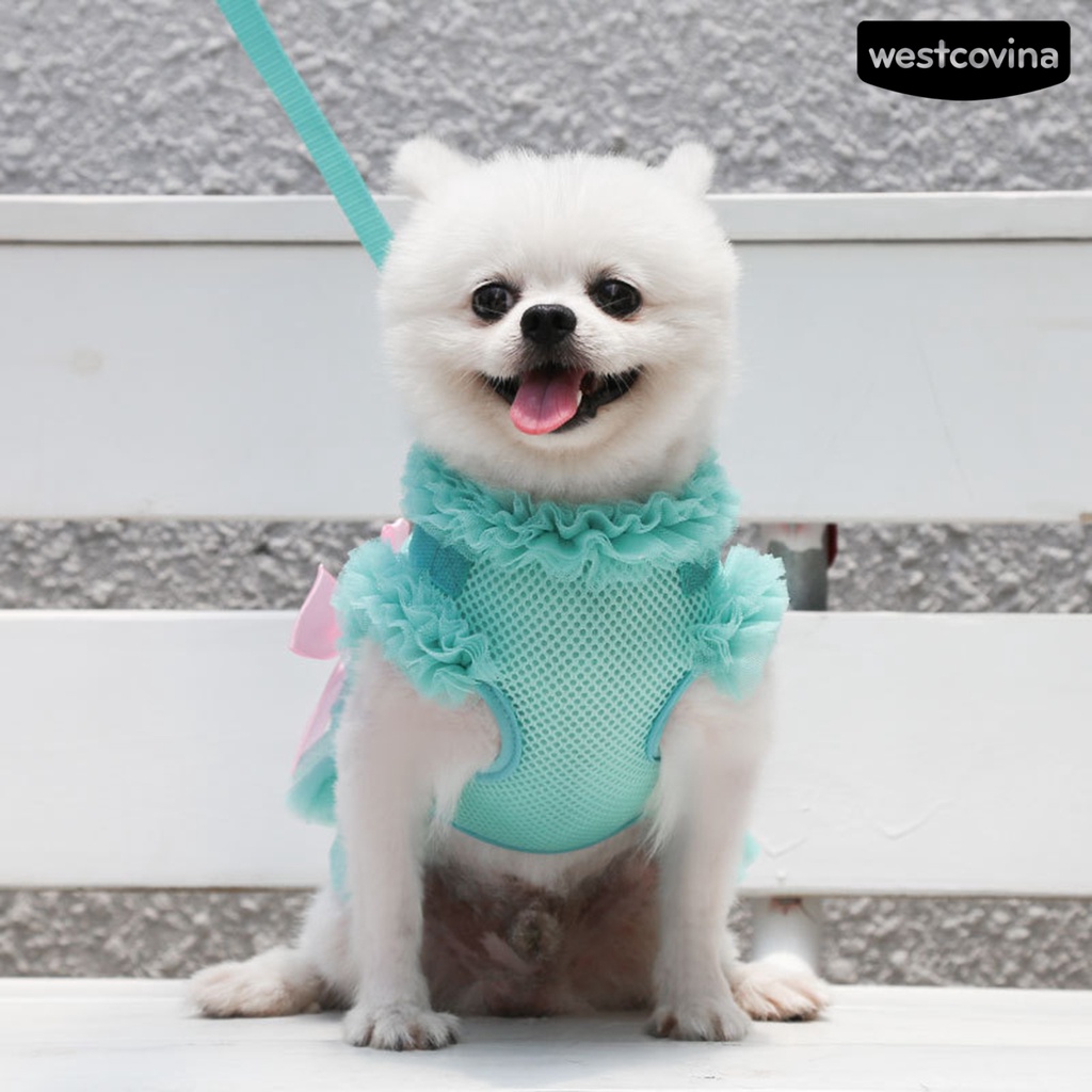 [COD]♞1 Bộ Dây Dắt Thú Cưng Đi Dạo Thiết Kế Thắt Nơ Thoáng Khí