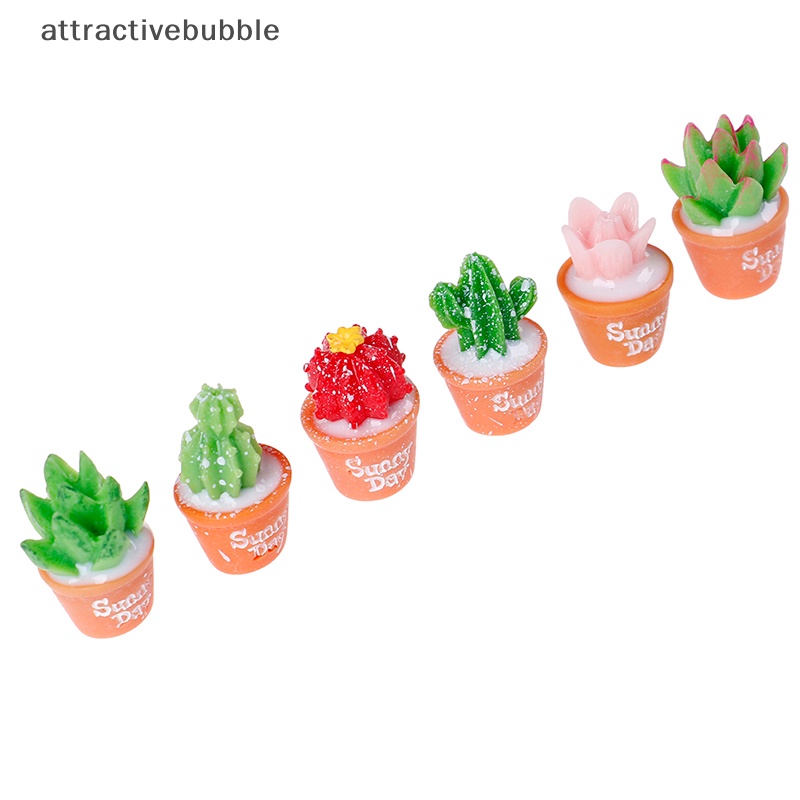 Set 5 Cây Xương Rồng Mini Trang Trí