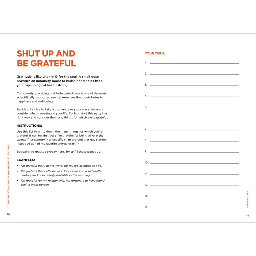 The Subtle Art Of Not Giving A F*ck Journal