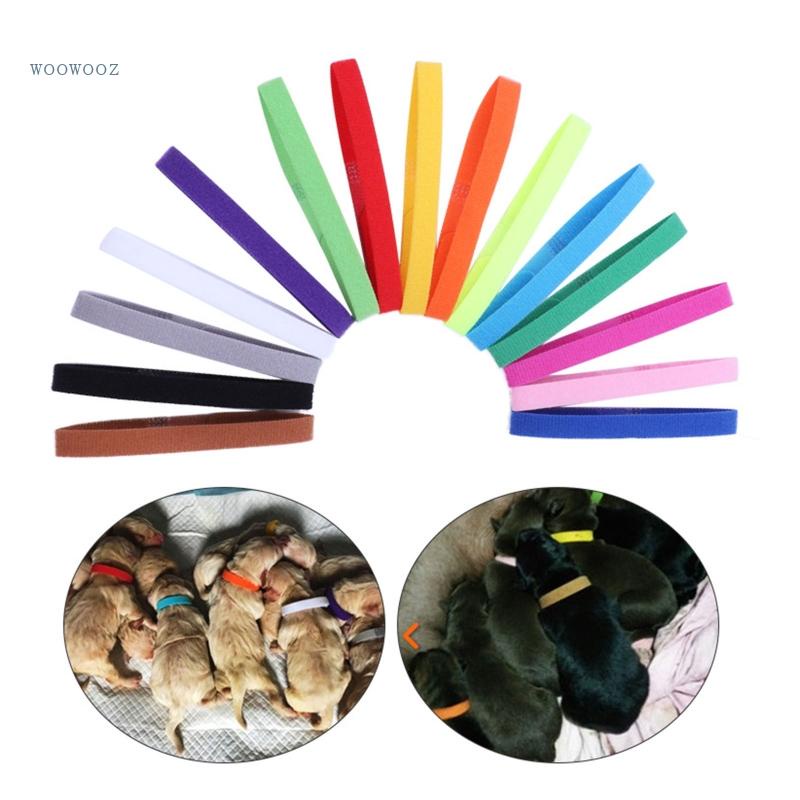 Vòng Cổ 15 Màu Cho Thú Cưng