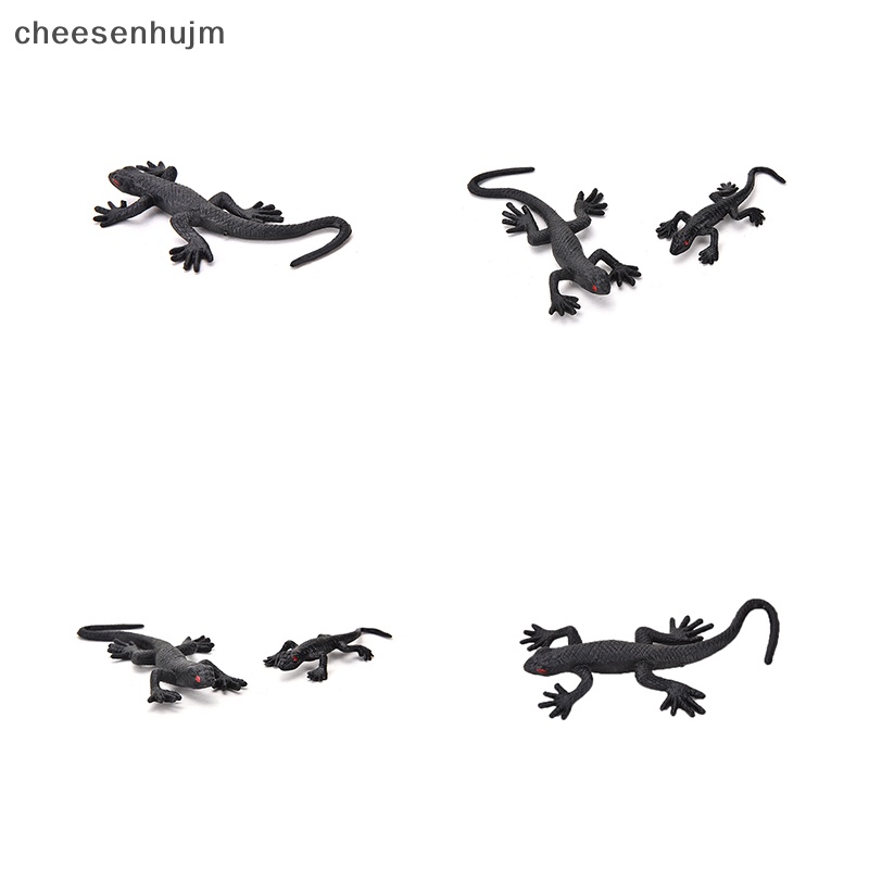 Bộ 2 Món Đồ Chơi Thằn Lằn Giả Vui Nhộn Đồ Chơi Cuộc Sống Vui Nhộn Bằng Nhựa Bọ Cánh Cứng Vui Nhộn Giống Thật Mới Lạ Như Thật
