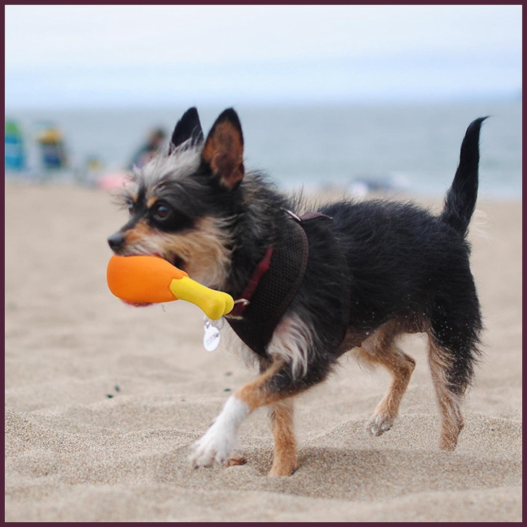 Bộ 4 Đồ Chơi Nhai Gặm Hình Đùi Gà Cho Thú Cưng