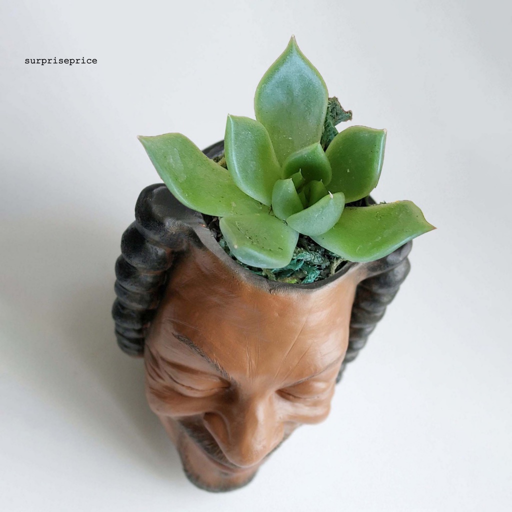 Giá Đỡ Chậu Hoa Hình Đầu Nhân Vật Vui Nhộn Chống Biến Dạng Tái Sử Dụng Được Trang Trí Nhà Cửa