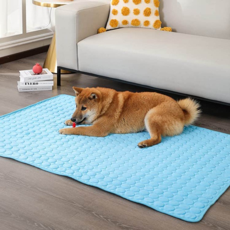 Đệm Ngủ MềM MạI, ChốNg TrượT Cho Thú Cưng