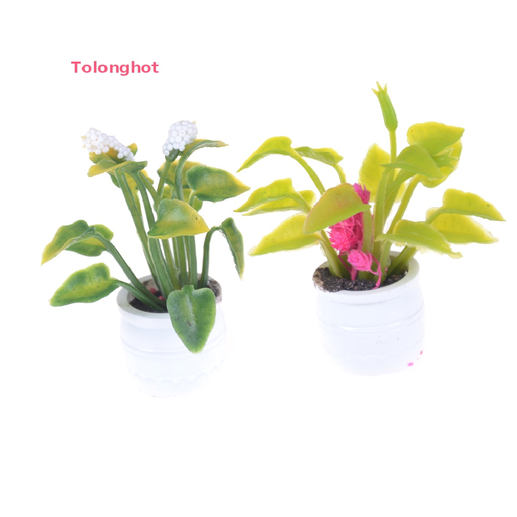 Mô Hình Chậu Hoa Bằng Đất Sét Tỉ Lệ 1: 12 Trang Trí Nhà Búp Bê