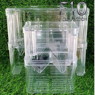 Lồng Đẻ Cho Cá Bảy Màu Lồng Tách Và Dưỡng Bệnh Chất Liệu Mica Giá Rẻ - Shop chuyên sỉ phụ kiện thủy sinh