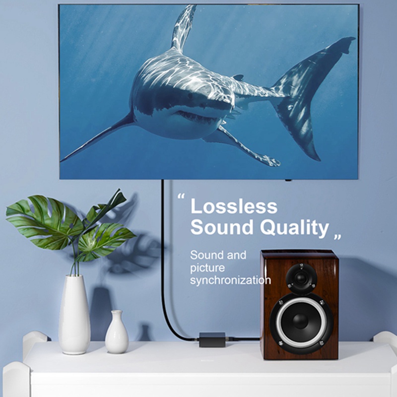 Bộ Chuyển Đổi Âm Thanh Kỹ Thuật Số RCA Sangslink SPDIF Toslink