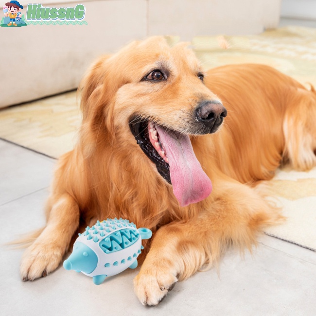 Que Gỗ Nhai Gặm Đồ Chơi Cho Thú Cưng Size S / m