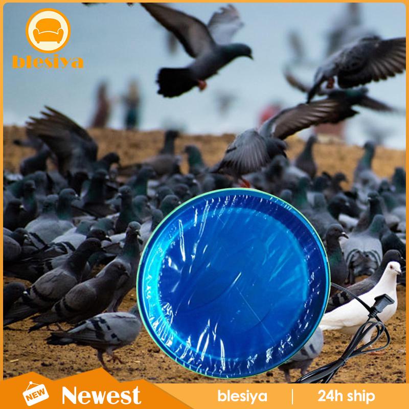 Đĩa Sưởi Ấm Cho Gà Mùa Đông Tiện Dụng