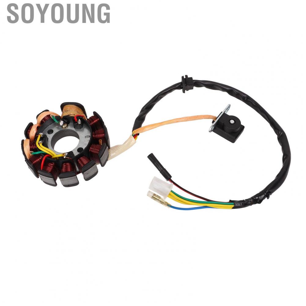 Soyoung Generator Stator Coil  High Performance Easy Installation Magneto Generator Stator Coil High Temperature Resistant 11 Coil  for Scooter