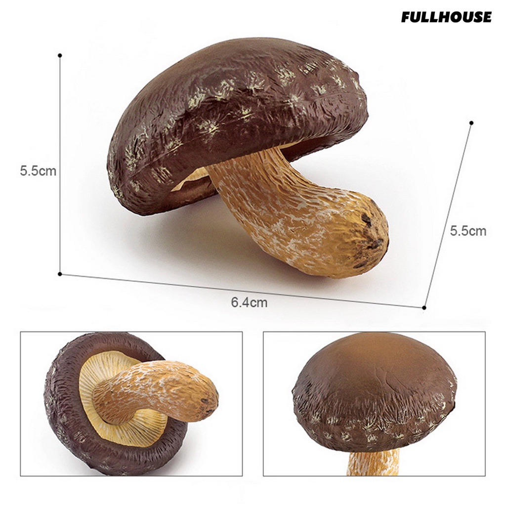 ❂Mô Hình Cây Nấm Mini Không Phai Màu Dùng Trang Trí Tiểu Cảnh