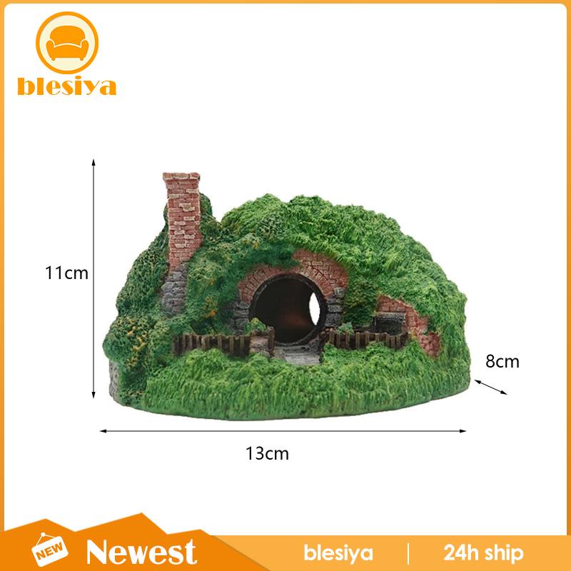 Hang Hang Động Dùng Trang Trí Bể Cá Tiện Dụng