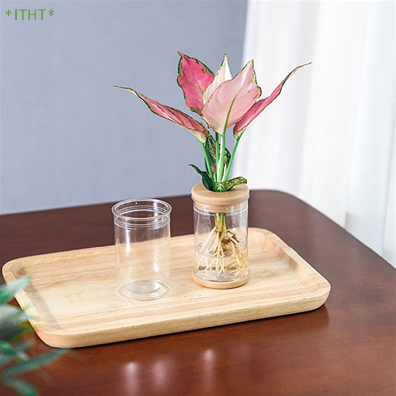 Chậu Cây Nhỏ Bằng Thủy Tinh Dùng Trang Trí Mới