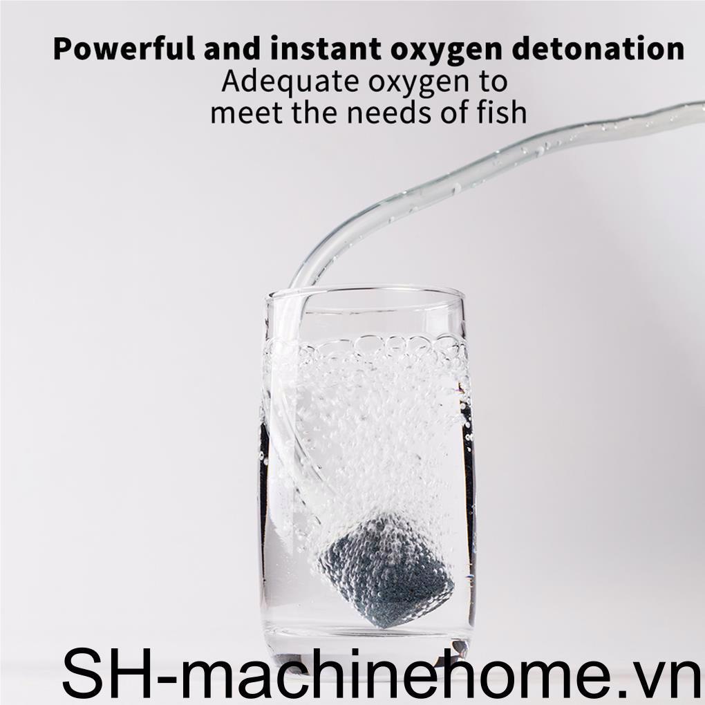 Máy Bơm Oxy Dài Chuyên Dụng Cho Bể Cá