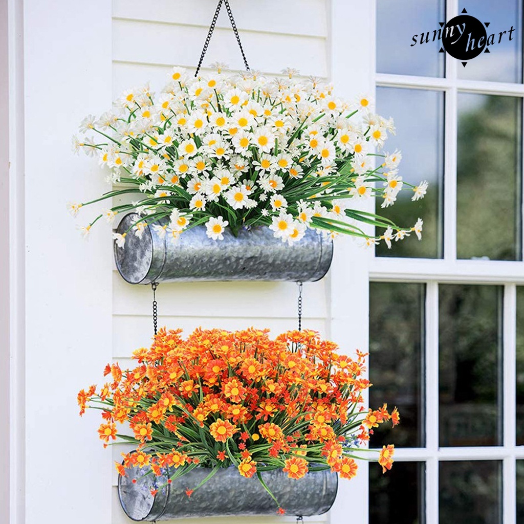 Cây Thân Dài Chống Tia UV Trang Trí Nhà Cửa