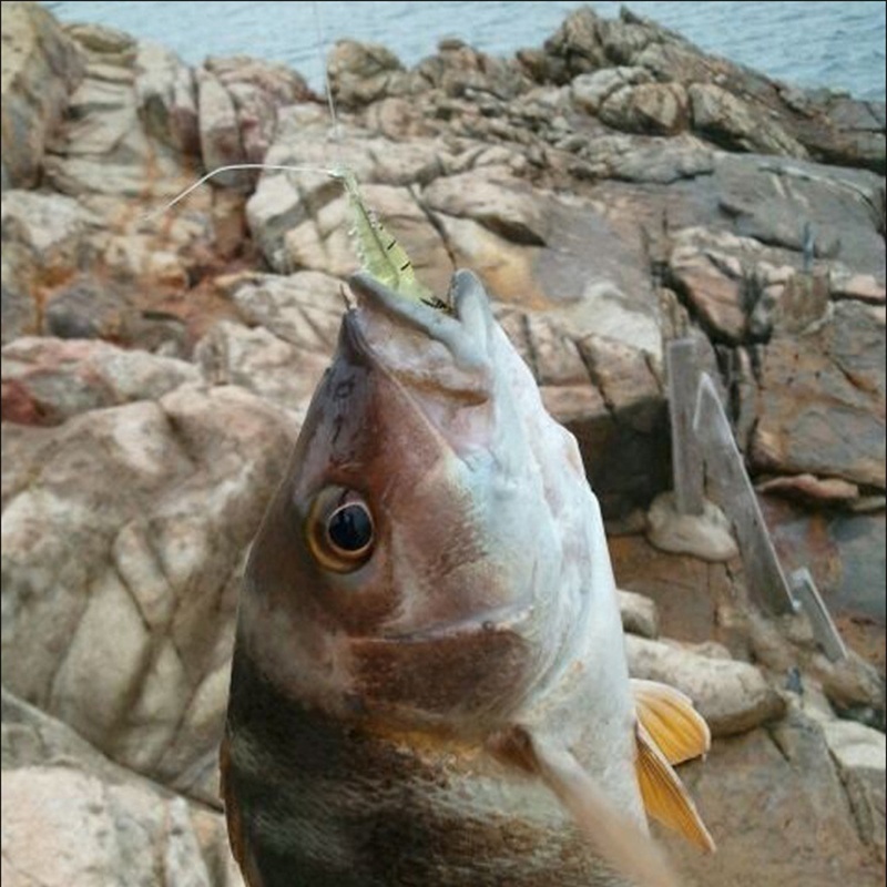 50 Mồi Tôm Giả Câu Cá Mềm 4cm