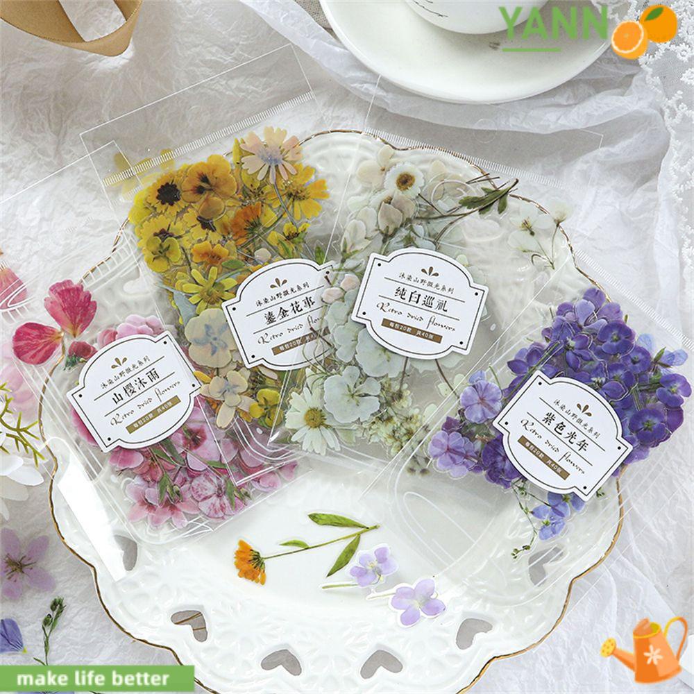 1 40 Nhãn Dán Hình Hoa Lá Kiểu Vintage Trang Trí Sổ Tay Nhật Ký