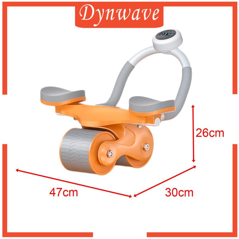 Con Lăn Đôi Chuyên Dụng Cho Tập Gym Tại Nhà