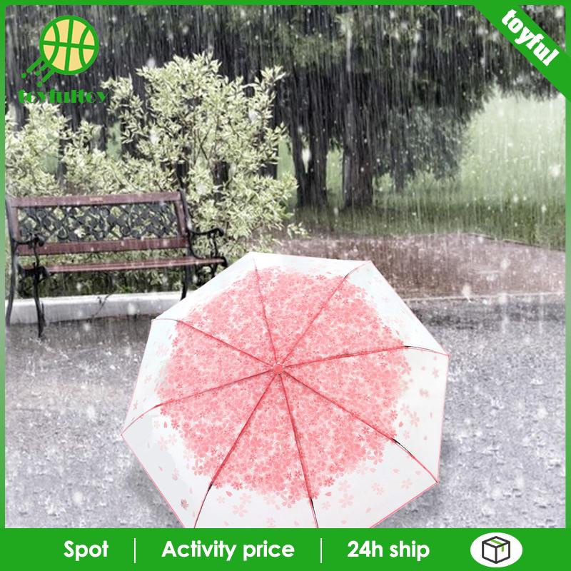 Dù Trong Suốt Hình Mái Vòm Họa Tiết Hoa