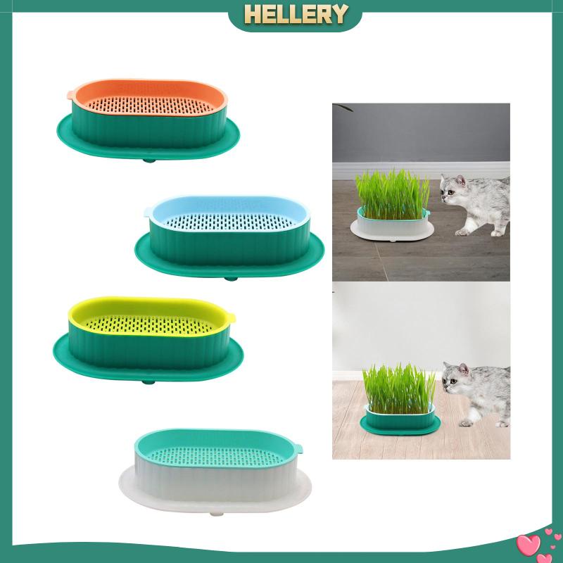 Khay Gieo Hạt Tiện Dụng Cho Nhà Kính